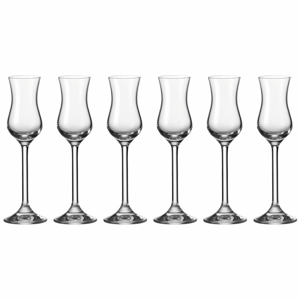 Leonardo Daily Grappa Glass, Set of 6, Shot Glass, Aperitif Glass, Glass, 80 ml, 35237