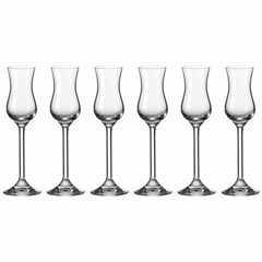 Leonardo Daily Grappa Glass, Set of 6, Shot Glass, Aperitif Glass, Glass, 80 ml, 35237