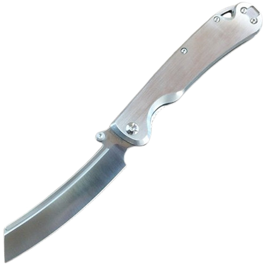 Daggerr Begemot Framelock Stainless Steel Folding VG-10 Pocket Knife 024FRSTST