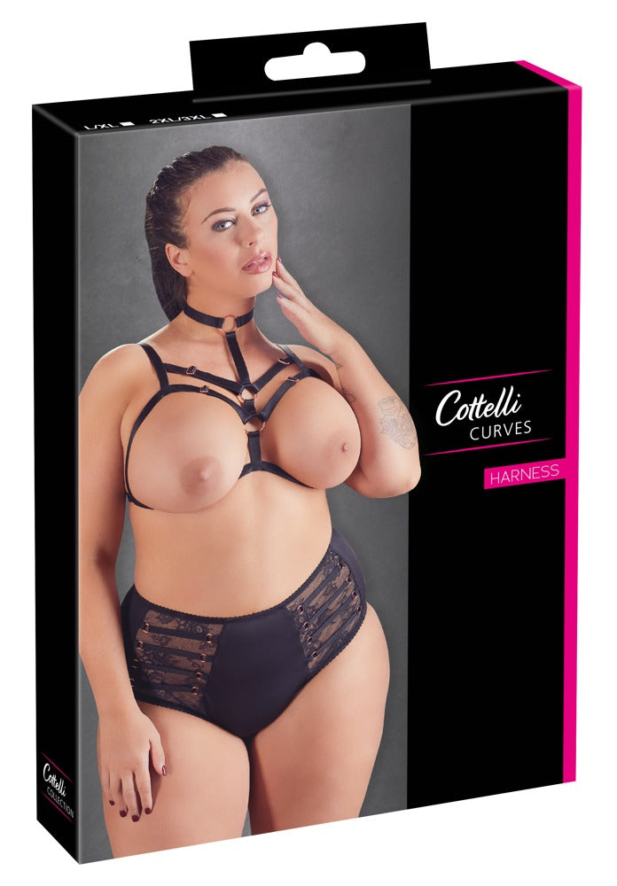 Harness 2XL/3XL