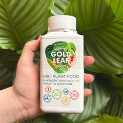 Liquid Gold Leaf Indoor Plant Feed